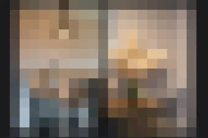 Zonnewoud 20 Boven-Leeuwen thumbnail 9