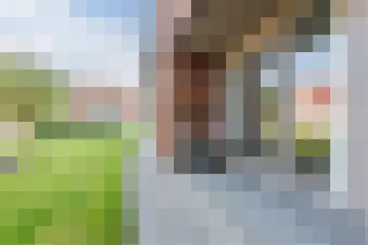 Zonoord 10 Noord-Scharwoude thumbnail 20