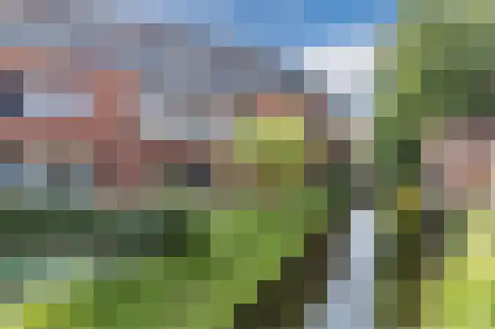 Zonoord 10 Noord-Scharwoude thumbnail 24