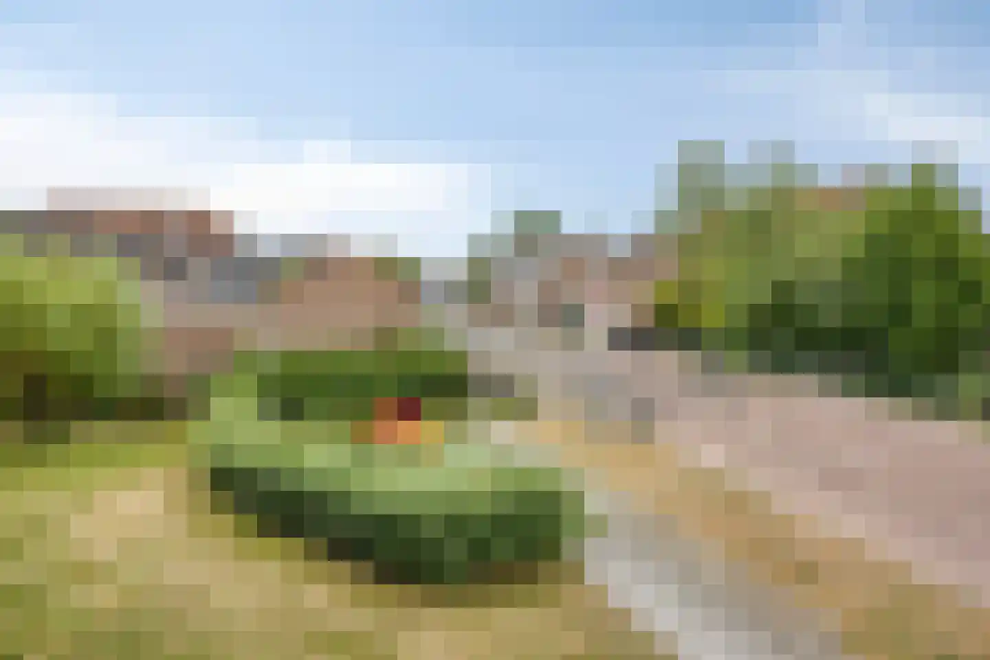 Zonoord 20 Noord-Scharwoude thumbnail 23