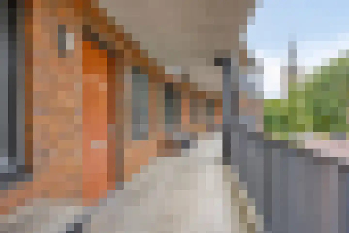 Zonoord 20 Noord-Scharwoude thumbnail 6