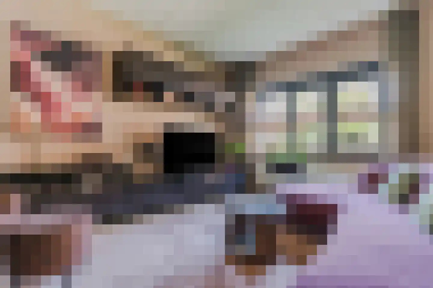 Zonoord 4 Noord-Scharwoude thumbnail 12