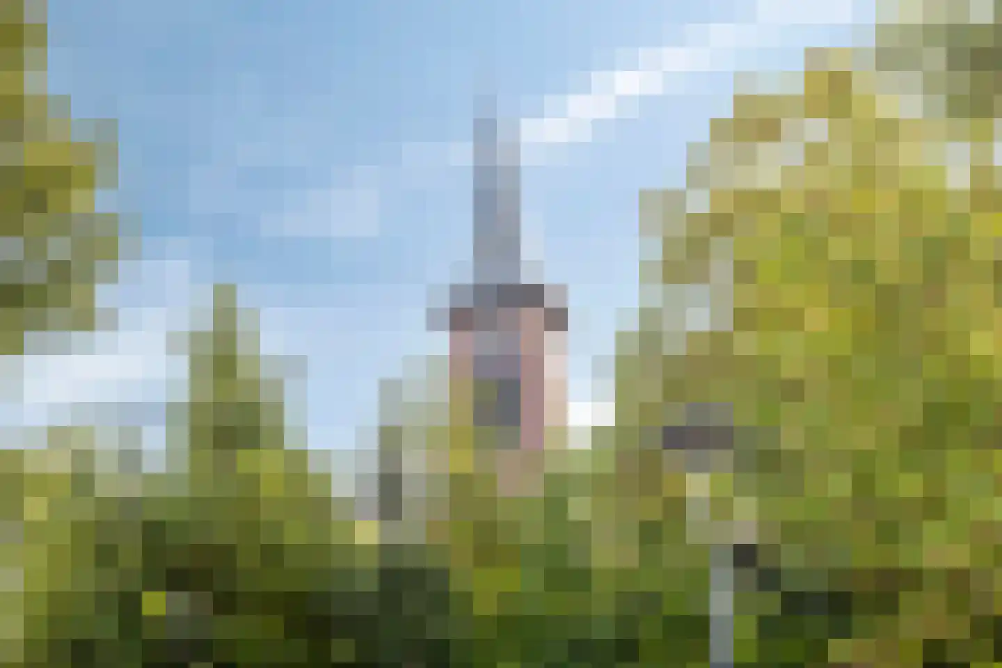 Zonoord 6 Noord-Scharwoude thumbnail 35