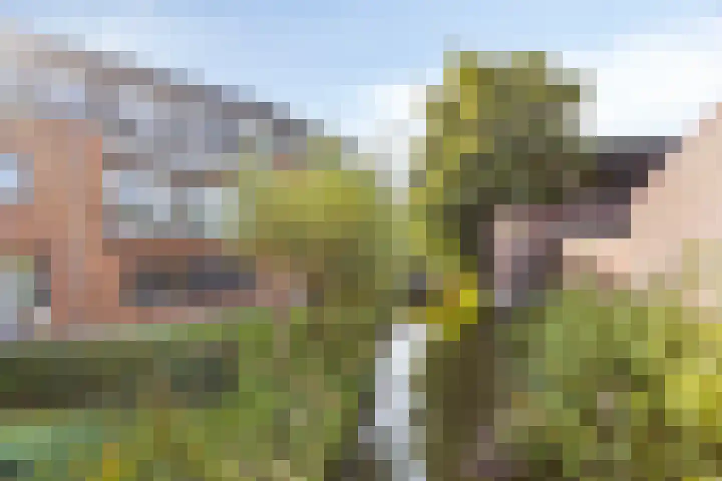 Zonoord 6 Noord-Scharwoude thumbnail 37