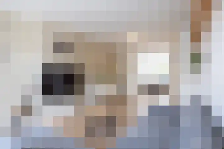 Zonstraat 12 Geleen thumbnail 24