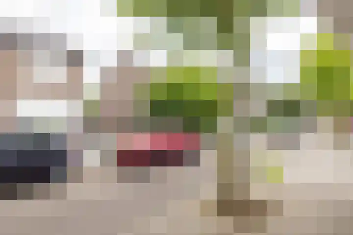 Zonstraat 12 Geleen thumbnail 6