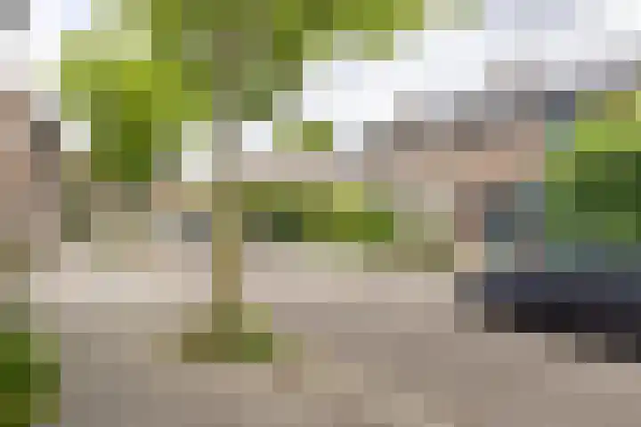 Zonstraat 12 Geleen thumbnail 7