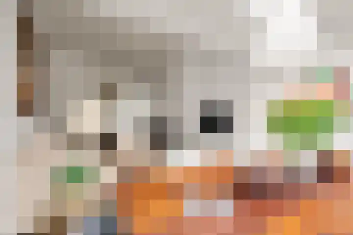 Zonstraat 120 Utrecht thumbnail 11