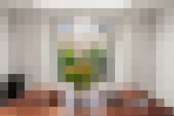 Zonstraat 120 Utrecht thumbnail 13