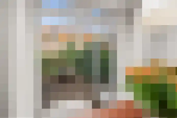 Zonstraat 120 Utrecht thumbnail 14