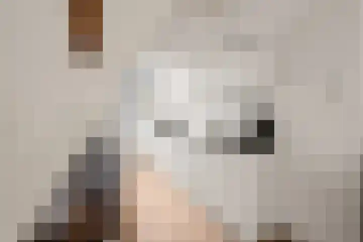 Zonstraat 120 Utrecht thumbnail 17