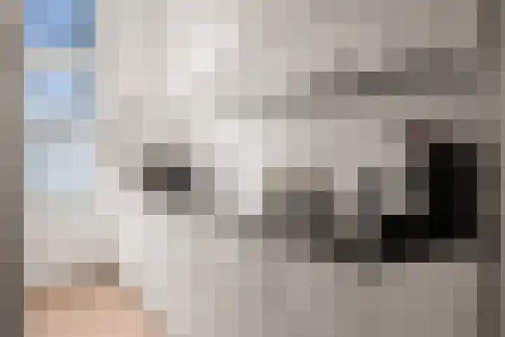 Zonstraat 120 Utrecht thumbnail 18