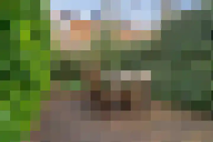 Zonstraat 120 Utrecht thumbnail 22