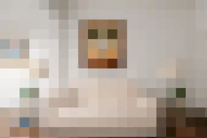 Zonstraat 120 Utrecht thumbnail 8