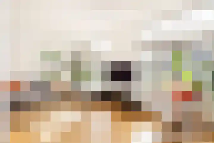 Zonstraat 17 De Meern thumbnail 12