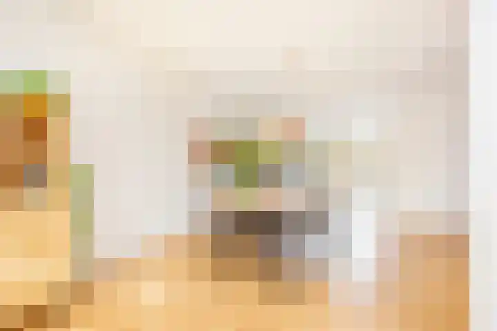 Zonstraat 17 De Meern thumbnail 16