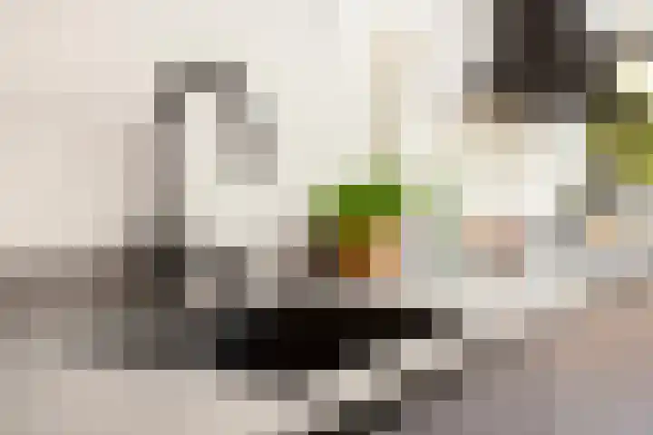 Zonstraat 17 De Meern thumbnail 20