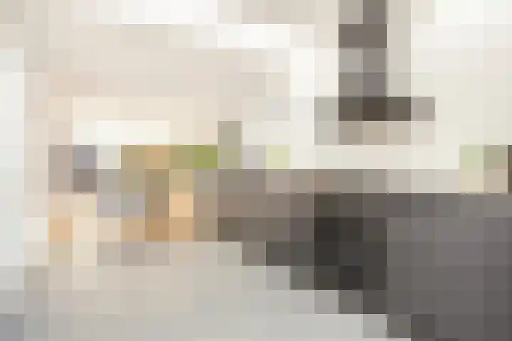 Zonstraat 17 De Meern thumbnail 22