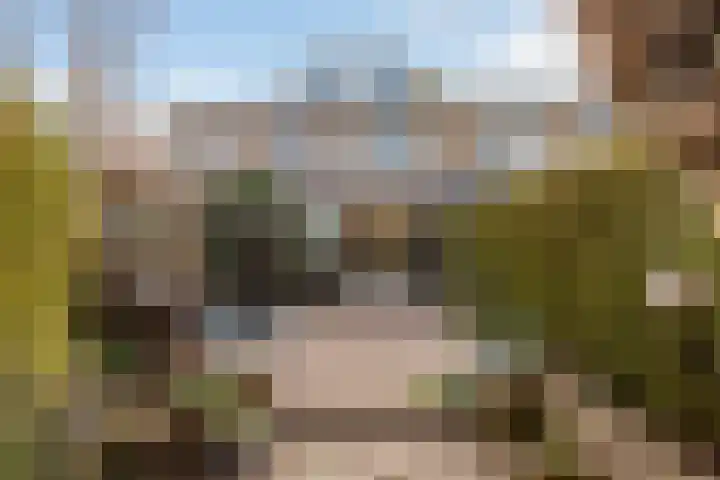 Zonstraat 17 De Meern thumbnail 26