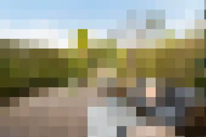 Zonstraat 17 De Meern thumbnail 27