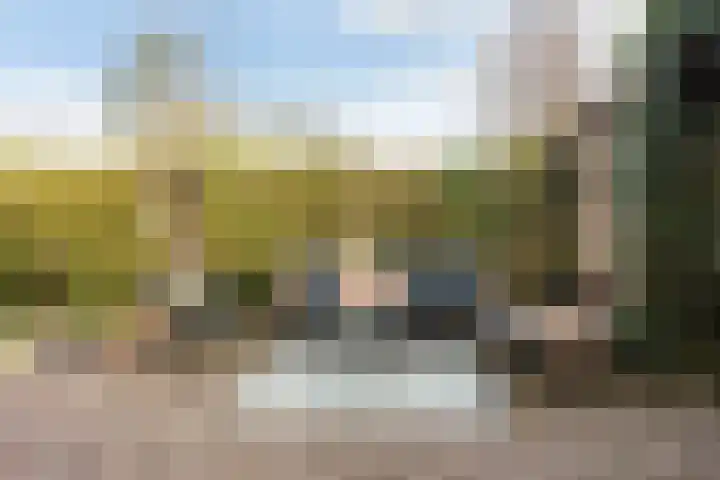 Zonstraat 17 De Meern thumbnail 29