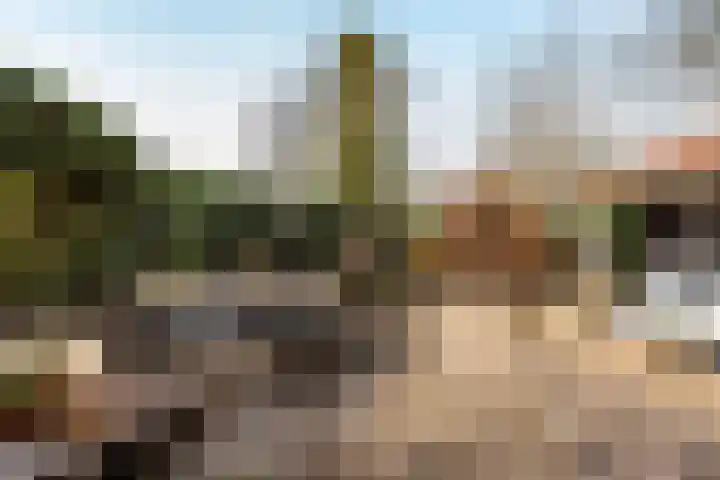 Zonstraat 17 De Meern thumbnail 30