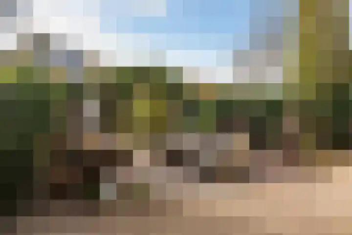 Zonstraat 17 De Meern thumbnail 31
