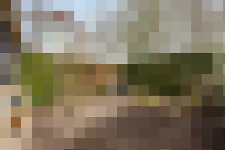 Zonstraat 17 De Meern thumbnail 32