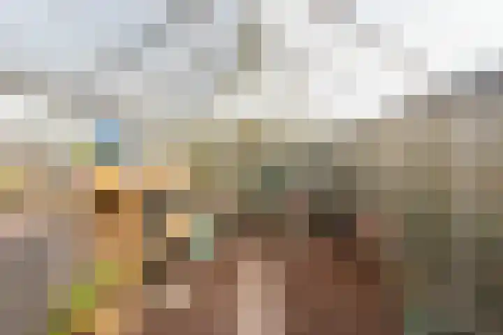 Zonstraat 17 De Meern thumbnail 36