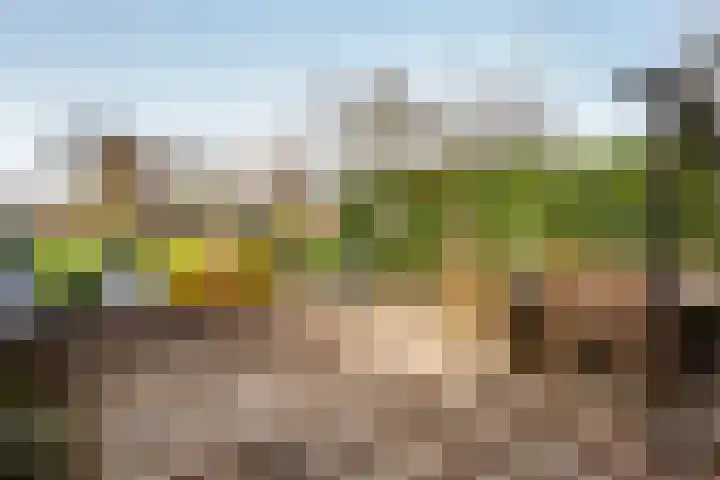 Zonstraat 17 De Meern thumbnail 37
