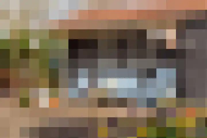 Zonstraat 17 De Meern thumbnail 38