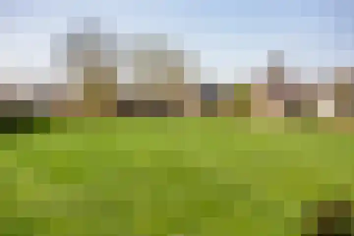 Zonstraat 17 De Meern thumbnail 42