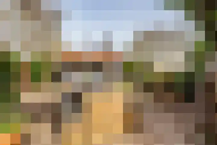 Zonstraat 17 De Meern thumbnail 43