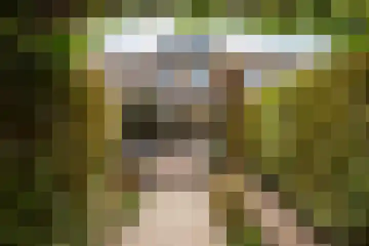 Zonstraat 17 De Meern thumbnail 44