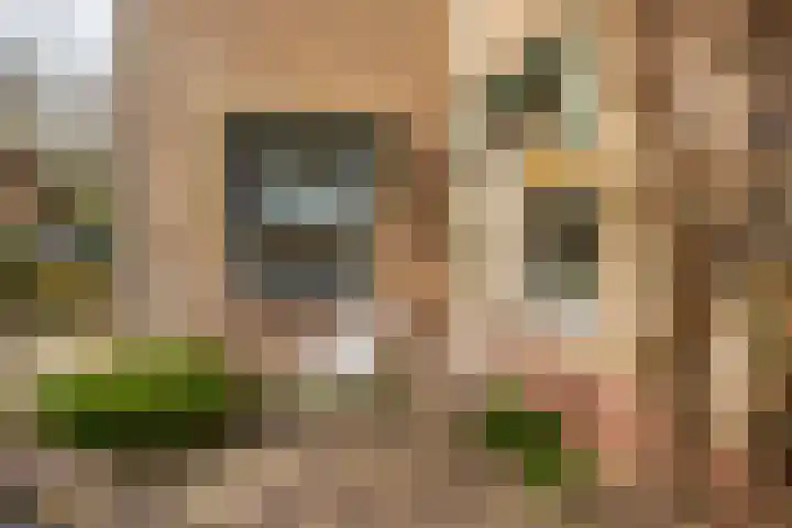 Zonstraat 17 De Meern thumbnail 45