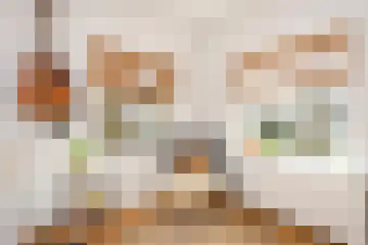 Zonstraat 17 De Meern thumbnail 8