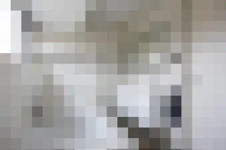 Zonstraat 17 Zuidhorn thumbnail 25