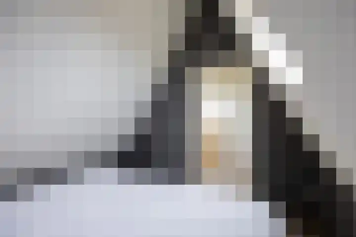 Zonstraat 17 Zuidhorn thumbnail 29