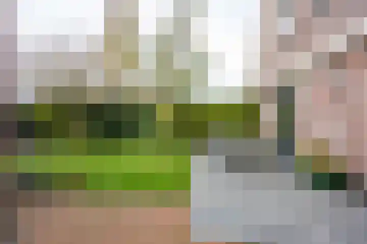 Zonstraat 17 Zuidhorn thumbnail 33