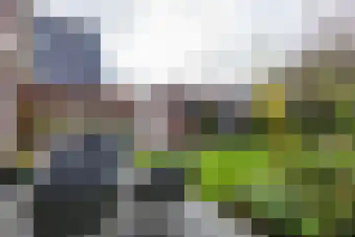Zonstraat 17 Zuidhorn thumbnail 34