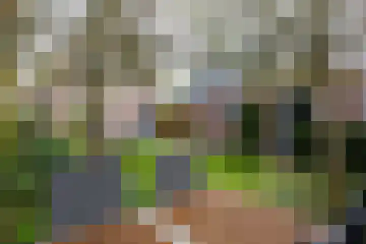 Zonstraat 17 Zuidhorn thumbnail 4