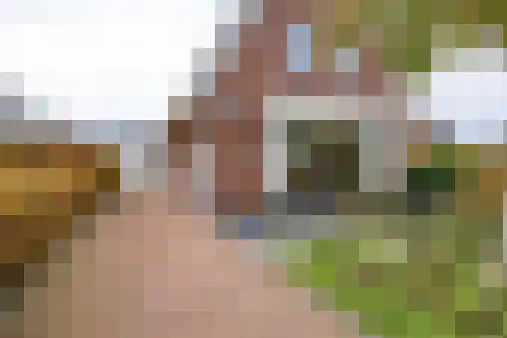 Zonstraat 17 Zuidhorn thumbnail 6
