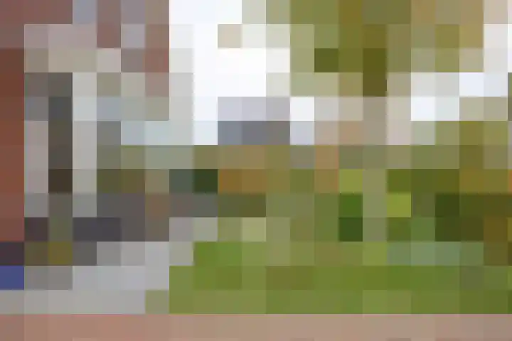 Zonstraat 17 Zuidhorn thumbnail 7