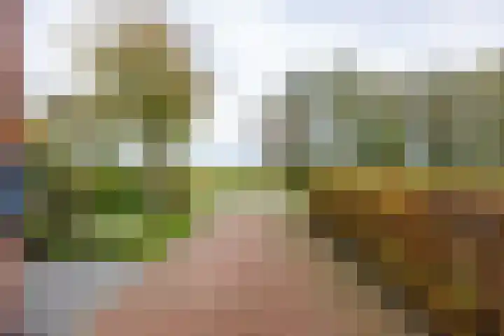 Zonstraat 17 Zuidhorn thumbnail 8