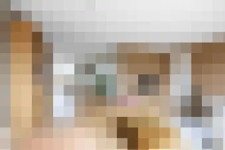 Zonstraat 2 Zuidhorn thumbnail 15