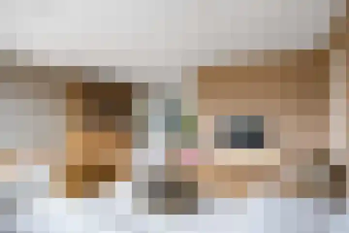 Zonstraat 2 Zuidhorn thumbnail 16