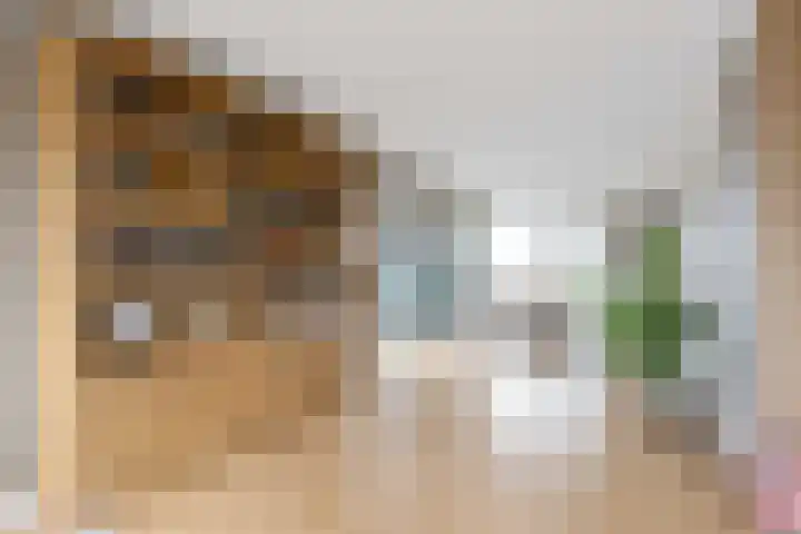Zonstraat 2 Zuidhorn thumbnail 18