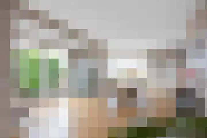 Zonstraat 2 Zuidhorn thumbnail 19