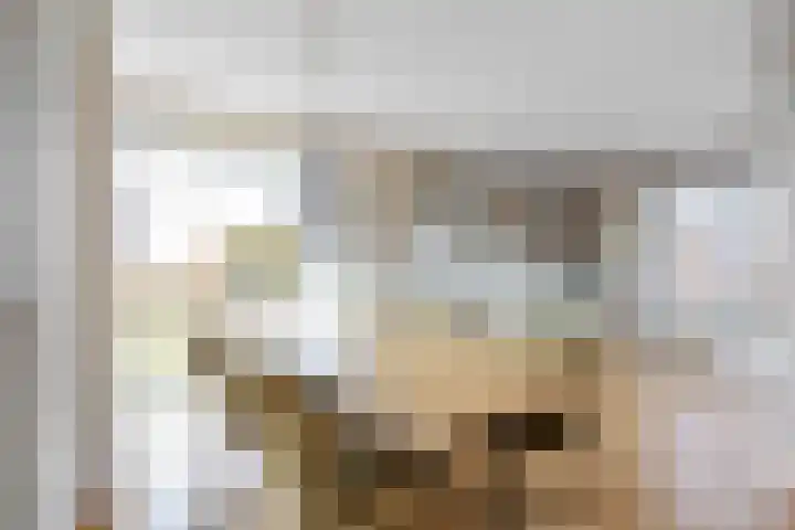 Zonstraat 2 Zuidhorn thumbnail 21