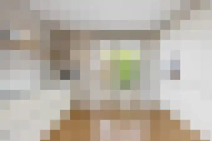 Zonstraat 2 Zuidhorn thumbnail 23